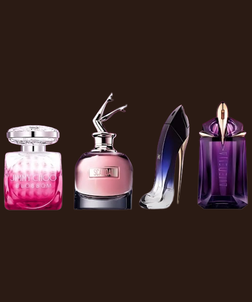 Woman's Winter Collection